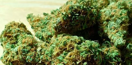 Как вывести марихуану из организма - Алкоклиник