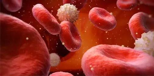 Алкоголь способен снижать уровень сахара в крови - Алкоклиник-alkoklinik.jpg Алкоголь способен снижать уровень сахара в крови - Алкоклиник-alkoklinik.jpg