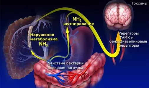 Патологические процессы - Алкоклиник Патологические процессы - Алкоклиник